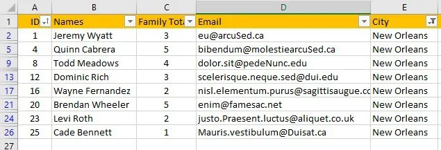 how to filter data in excel 3842 5 - How to Filter Data in Excel