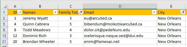 how to filter data in excel 3842 8 - How to Filter Data in Excel